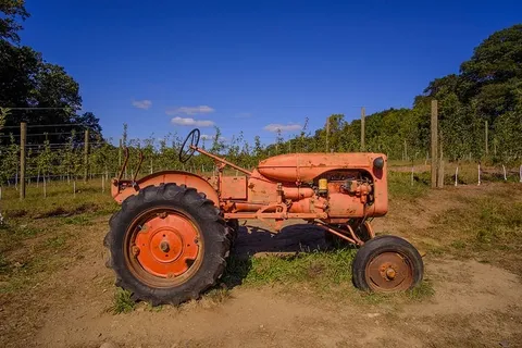 美国卑尔根县农场苹果南瓜采摘新泽西10月