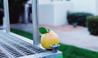 在美国，拉昆塔，49499艾森豪威尔博士，水果，食物，关注前景，食物和饮料，没有人