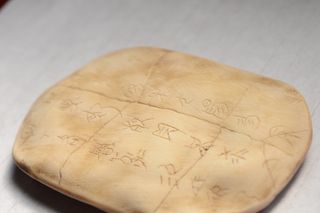 甲骨文、古董、装饰、玳瑁、室内、特写、静物、工作室拍摄