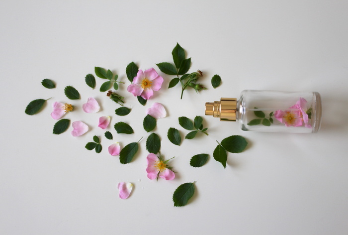 粉红色, 玫瑰, 花瓣, 绿色, 叶子, 明确, 玻璃香水瓶, 白色