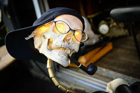 采购产品人类,骷髅装饰,眼镜,帽子,烟斗,骷髅和交叉骨,跳蚤市场,巴黎 采购产品人类,骷髅装饰,眼镜,帽子,烟斗,骷髅和交叉骨,跳蚤市场,巴黎