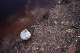 越南，bình quới、 干旱、干旱、水、云、土地、土壤