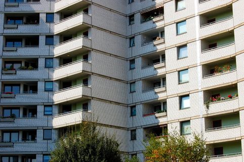 绿色、叶子、植物、灰色、混凝土、建筑、摩天大楼、大门