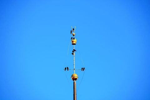 绳索、蹦极、冒险、休闲活动、天空、鸟类、黄金、极简主义