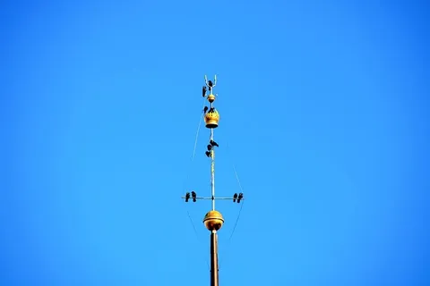 绳索、蹦极、冒险、休闲活动、天空、鸟类、黄金、极简主义