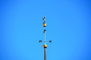 绳索、蹦极、冒险、休闲活动、天空、鸟类、黄金、极简主义