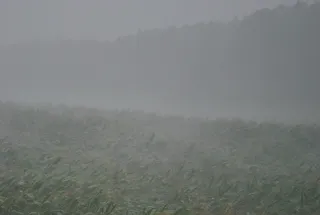 雷雨、倾盆大雨、前进、下雨、阴沉、天气现象、风暴、情绪