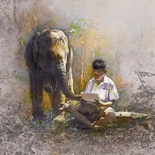 男孩, 男, 年轻, 人, 哺乳动物, 象, 成人, 野生动物