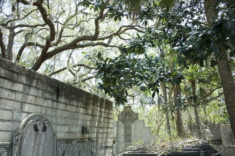 美国，梅特兰，艺术和历史博物馆-梅特兰、建筑、建筑、树木、室外、树木