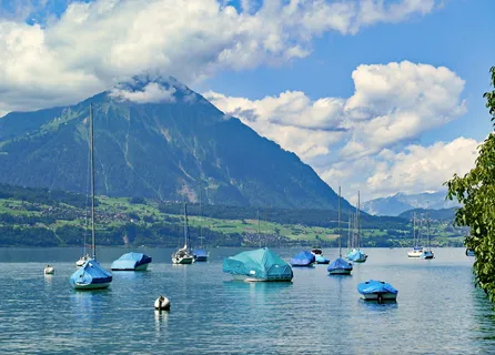 瑞士, 图恩, 山, 打喷嚏, 2362 米, 观山, 全景, 伯尔尼高地