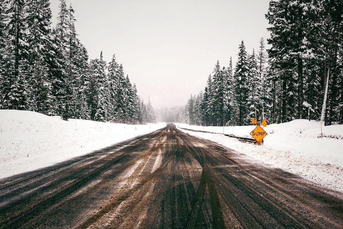 自然，树木，道路，雪，寒冷，道路，旅行，雾霾