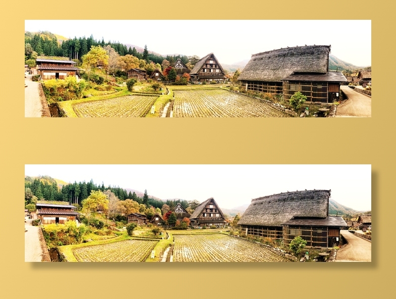 被房屋包围的农田