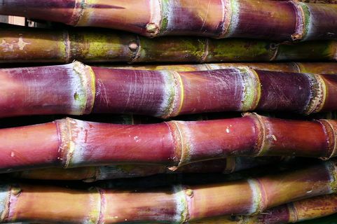 竹, 曼谷, 泰国, 没有人, 背景, 全画幅, 静物, 特写