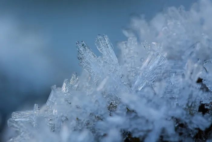 白霜、霜冻、白霜、冰、雪、冰冻、野生、自然