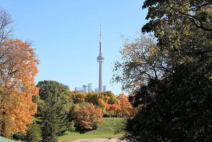 树，植物，建筑，秋天，天空，建筑结构，变化，旅行