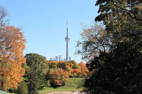 树，植物，建筑，秋天，天空，建筑结构，变化，旅行