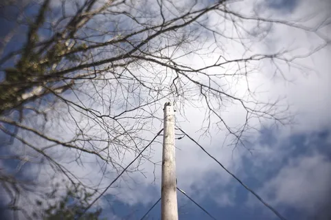 美国, 列克星敦, 电力, 极点, 树, 冬天, 散景, 秋天