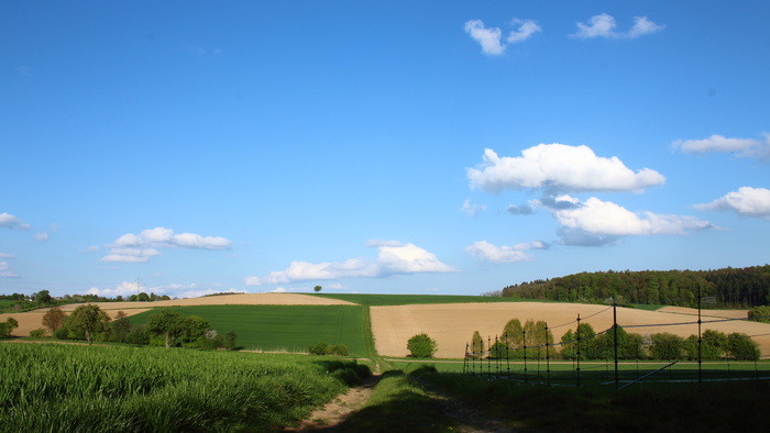 风景、天空、云、山、绿、钱、树、自然