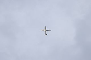 飞行，动物，鸟类，飞机，飞机，车辆，运输，向上