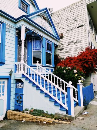 蓝色，房子，楼梯，旧金山，加利福尼亚，窗户，植物，自然