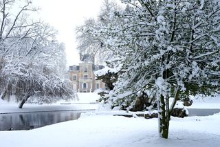 雪，冬天，霜冻，寒冷，冰冻，风景，树，雪