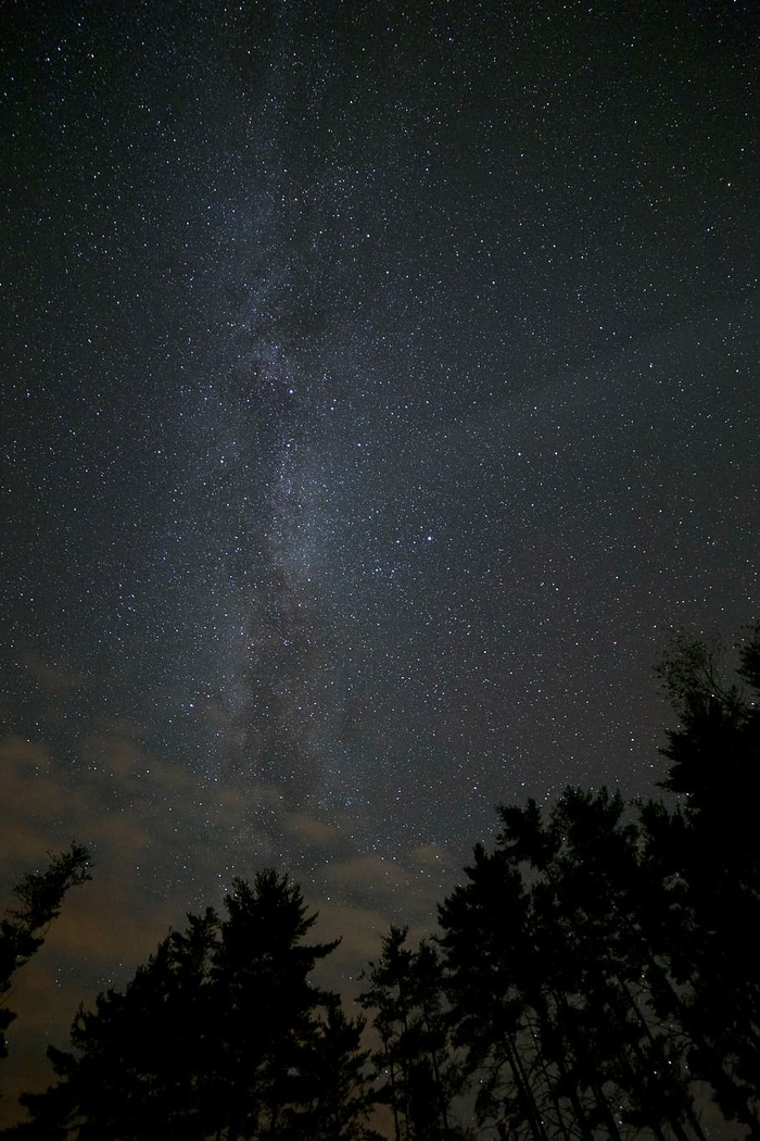 高树上的星星