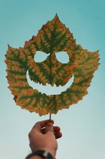 持干叶者 持干叶者