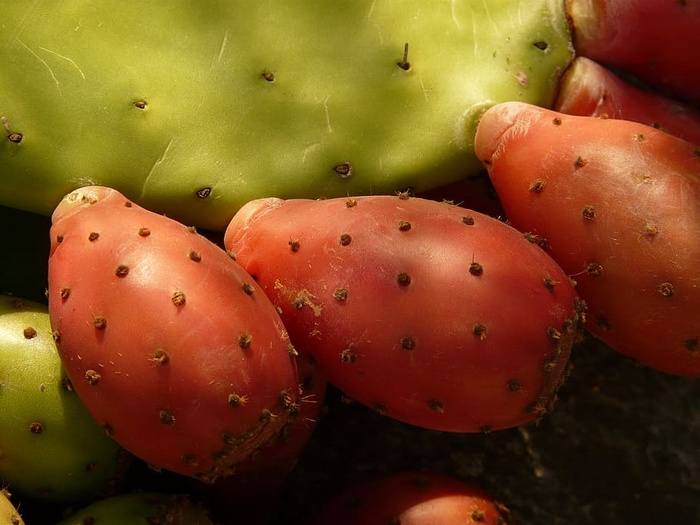 刺梨、仙人掌、无花果、水果、红色、食用、植物、仙人掌