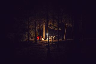 夜间在树下的红色露营帐篷