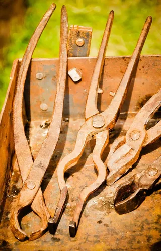 酷刑，尖嘴钳，中世纪，凯特，工具，欺凌，痛苦，暴力