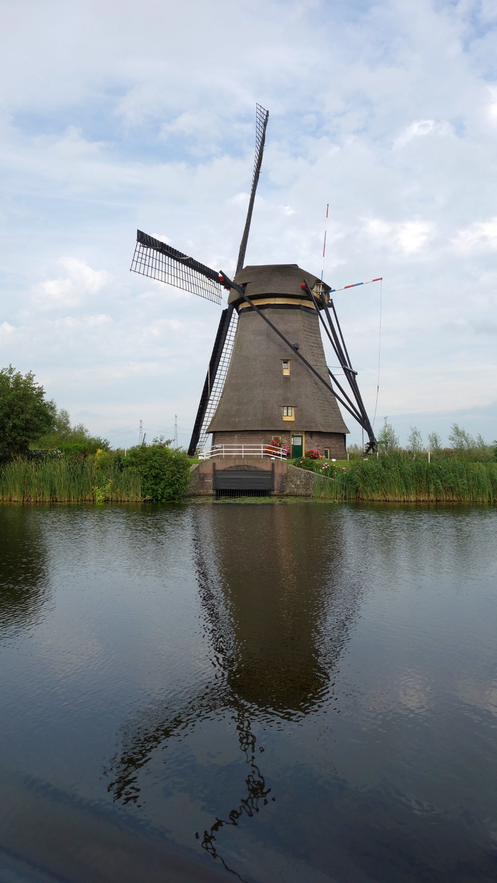 mill，reflection，kinderdijk，wind mill，景观，文化遗产，联合国教科文组织世界遗产，荷兰景观