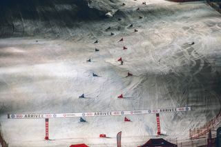 滑雪场，自然，户外，斜坡，人，人，动物，鸟