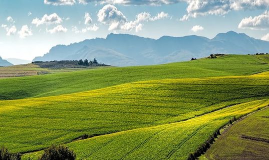 景观、自然、天空、田野、农业、农村、作物、农田 景观、自然、天空、田野、农业、农村、作物、农田