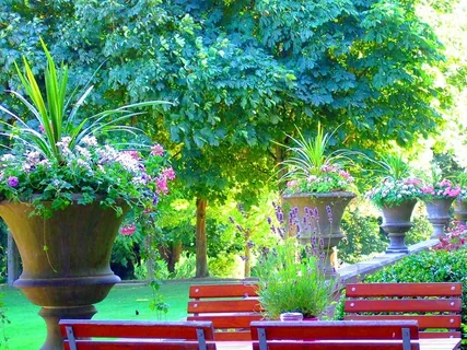 自然,风景,静物,咖啡馆,桌子,公园,夏天,鲜花 自然,风景,静物,咖啡馆,桌子,公园,夏天,鲜花