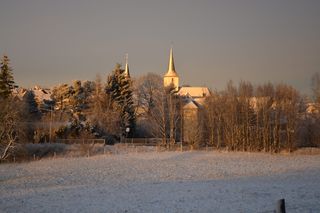 mid，rise building，trees，mid rise，building，argenthal，sachsen，rlp