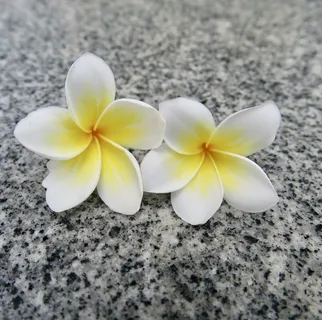 花，自然，植物，花，花园，草原，美丽，光