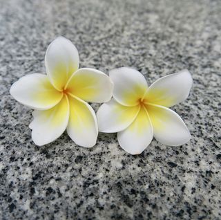 花，自然，植物，花，花园，草原，美丽，光