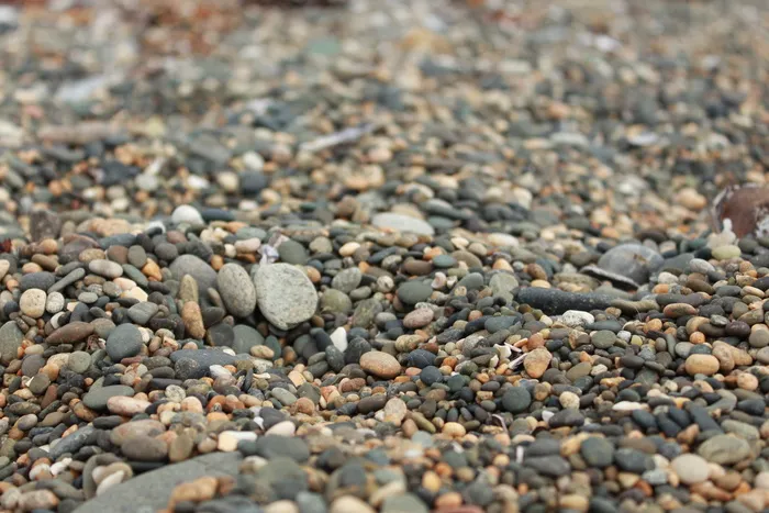 新西兰，里弗顿，海滩，自然，石头，岩石，灰色，自然