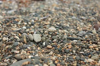 新西兰，里弗顿，海滩，自然，石头，岩石，灰色，自然