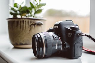 白天在绿色盆栽植物附近的黑色佳能 EOS 6D 数码单反相机