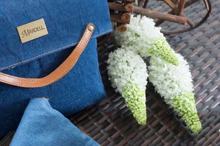 投资组合，袋子，女士，花，开花植物，篮子，容器，植物