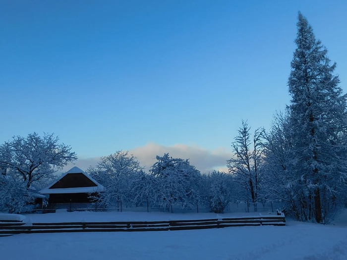 冬天，下雪，风景，雪，霜，树，山，结冰