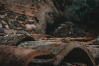 铁锈、蜥蜴、动物、爬行动物、蛇、碎石、板岩、岩石