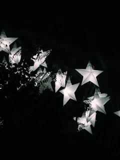 巴西、普拉萨·佩德罗·桑切斯、湖泊、星星、圣诞节、树木、夜晚、灯光