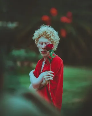 拿着红玫瑰的男人