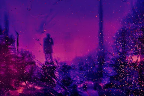 植物、树木、艺术、光线、纹理、装饰、粗糙、有机