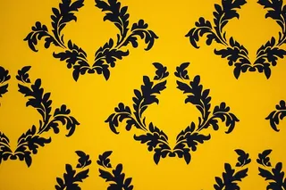 黄色富豪丝绒图案照片