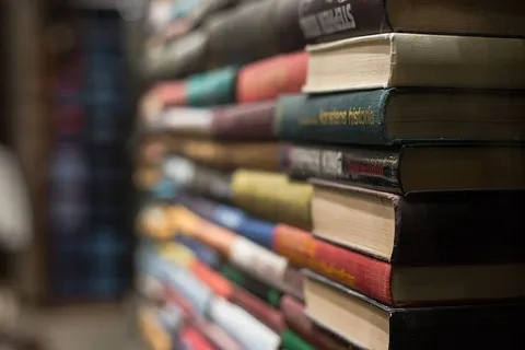 瑞典，斯德哥尔摩，阅读，书籍，书虫，阅读，聚焦，室内