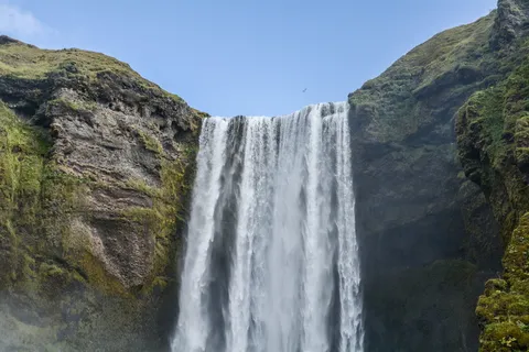 冰岛，鸟，悬崖，悬崖，水，白水，美，自然