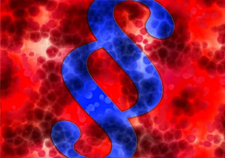 条款，段落，右侧，血液，dna，dns，法医学，法医学